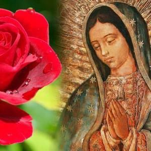 Meet your Posher, Celina